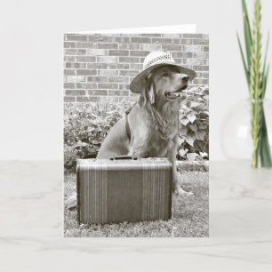 De reis van Bon Kaart