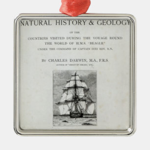 De reis van de beagle metalen ornament