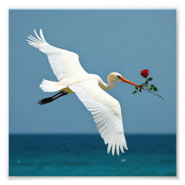 De reizende vogel foto afdruk