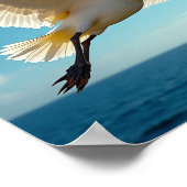 De reizende vogel poster (Hoek)