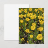 De Remerciements Carte à blanc plat - Belle Tulips Bowral (Devant / Derrière)