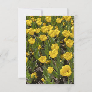 De Remerciements Carte à blanc plat - Belle Tulips Bowral