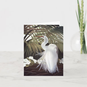 De Remerciements Carte aigrette