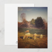 De Remerciements Carte blanche (Devant / Derrière)