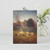 De Remerciements Carte blanche (Debout devant)