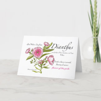 De Remerciements Carte blanche Dianthus