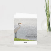 De Remerciements Carte blanche, Egret (Dos)