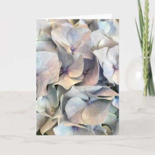 De Remerciements Carte blanche Expressions douces (Devant)