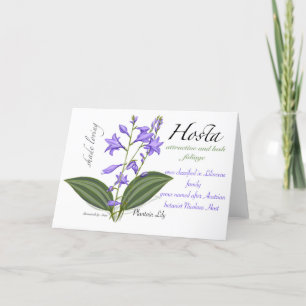 De Remerciements Carte blanche Hosta