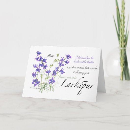 De Remerciements Carte blanche Larkspur (Devant)