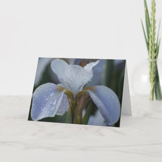 De Remerciements Carte blanche - Lily (Devant)
