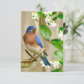 De Remerciements Carte Bleu-oiseau (Debout devant)
