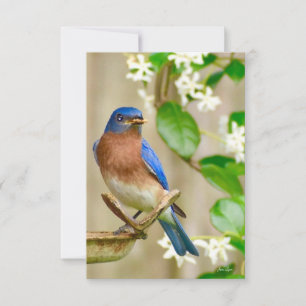 De Remerciements Carte Bleu-oiseau