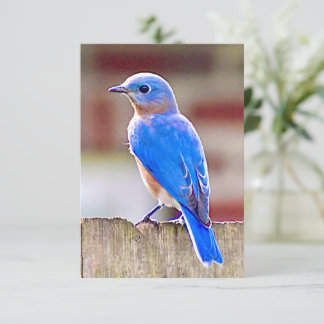 De Remerciements Carte Bleu-oiseau