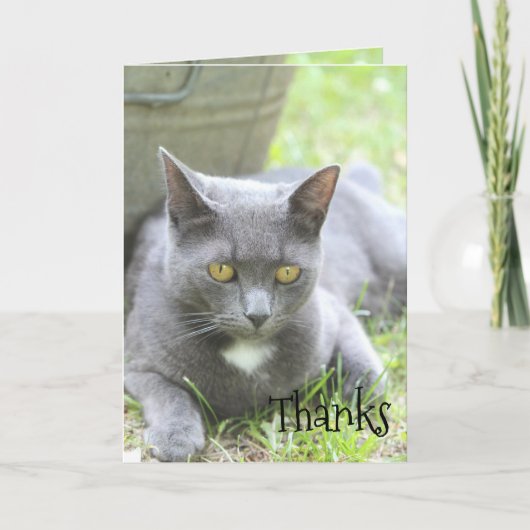 De Remerciements Carte Chic Shabby (Devant)