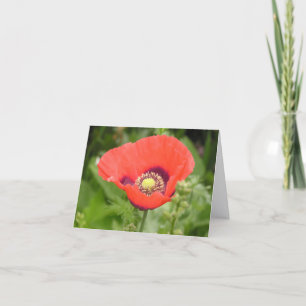 De Remerciements Carte Coquelicot (Papaver somniferum)