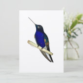 De Remerciements Carte Coronet Hummingbird (Debout devant)