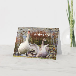 De Remerciements Carte Cygne Canard Vierge à l'Intérieur Pensées po