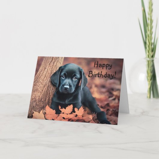 De Remerciements Carte d'anniversaire Black Lab Puppy (Devant)
