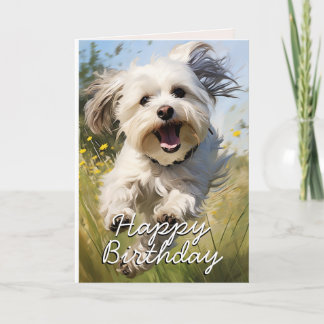 De Remerciements Carte d'anniversaire Havanaise personnalisée