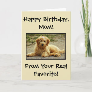 De Remerciements Carte D'Anniversaire Jolie Du Chien Photo
