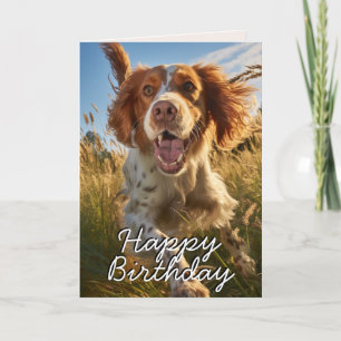 De Remerciements Carte d'anniversaire personnalisée avec Setter Gor