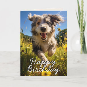 De Remerciements Carte d'anniversaire personnalisée Catalan Sheepdo