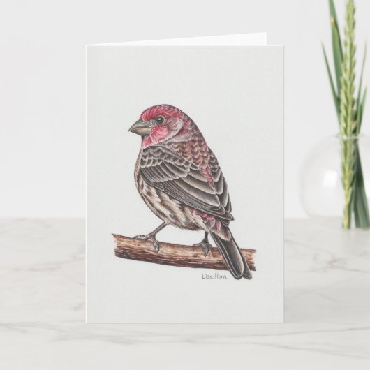 De Remerciements Carte d'art House Finch (Devant)