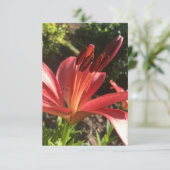 De Remerciements Carte "Fleur Rouge Solide" en Z (Debout devant)