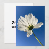 De Remerciements Carte Fleur Sauvage Blanche (Devant / Derrière)