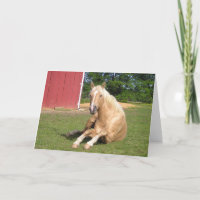 Carte Hansome Palomino