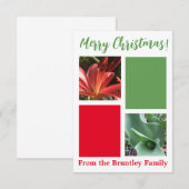 De Remerciements Carte "Joyeux Noël !" (Devant / Derrière)