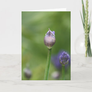 De Remerciements Carte Lily africaine