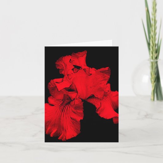 De Remerciements Carte Nota Rouge Hot Iris Flower Art Blair (Devant)
