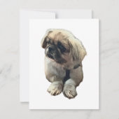 De Remerciements Carte Pekingese blanche avec "évier" (Devant)