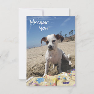 De Remerciements Carte personnalisée d'absence pour chien