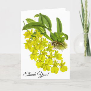 De Remerciements Carte personnalisée vintage jaune orchidée