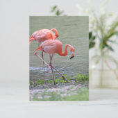 De Remerciements Carte pour notes Flamant rose rose (Debout devant)