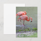 De Remerciements Carte pour notes Flamant rose rose (Devant / Derrière)