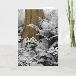 De Remerciements Carte pour notes Redwood & Infrared Ferns