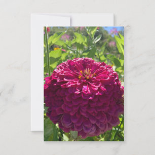 De Remerciements Carte "Rêves roses foncées" en Z