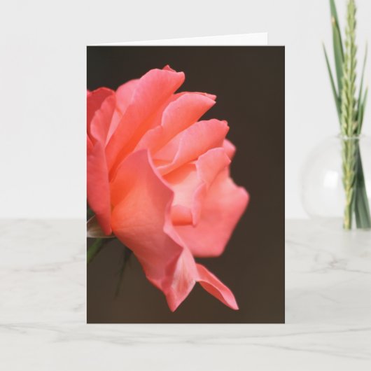 De Remerciements Carte Rose (Devant)