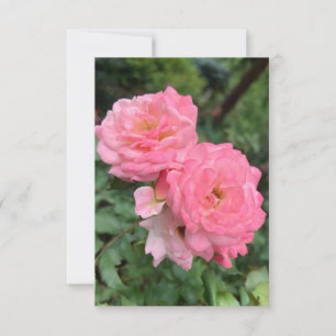 De Remerciements Carte "Rose rose" en Z