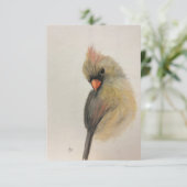 De Remerciements Carte Shy Red Bird Note (Debout devant)