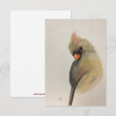 De Remerciements Carte Shy Red Bird Note (Devant / Derrière)