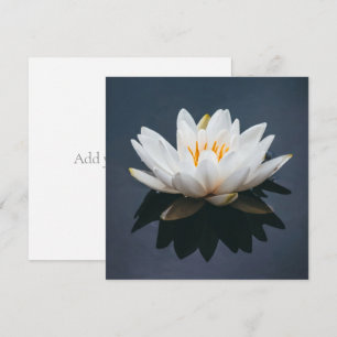 De Remerciements Carte simple: LOTUS SUR L'EAU