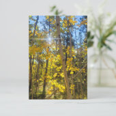 De Remerciements Carte Sun Aspen (Debout devant)