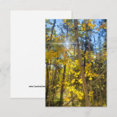 De Remerciements Carte Sun Aspen (Devant / Derrière)