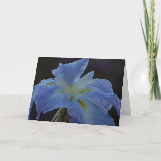 De Remerciements Carte vierge - iris (Devant)