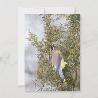 De Remerciements Cedar Waxing avec carte Berry Note